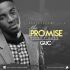 The Promise by GUC