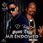 D'banj feat Snoop Dogg - Endowed (Remix)