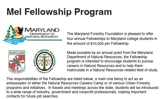 Mel-Fellowship-Program-In-USA-2025–26-10000-Awards